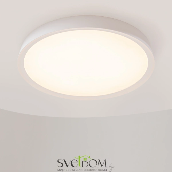 Потолочный светильник Maytoni MOD426CL-L43WK