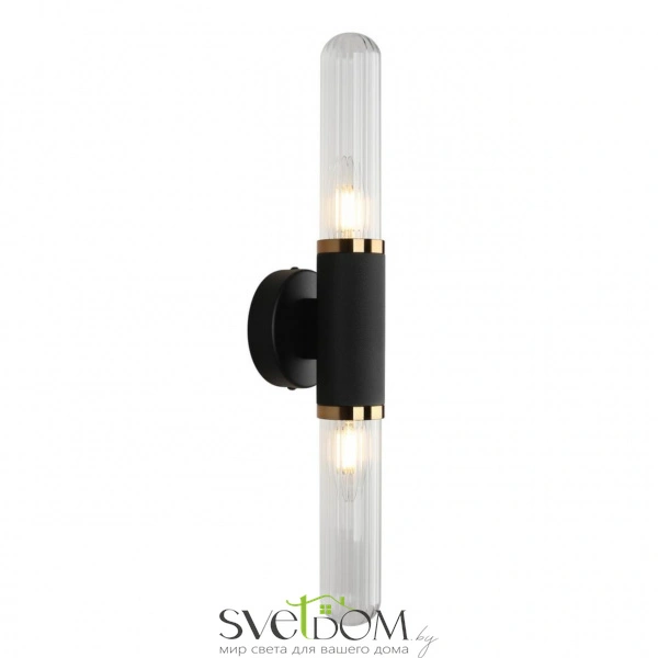 Настенные светильники APL.307.31.02 Aployt | Svetdom.by