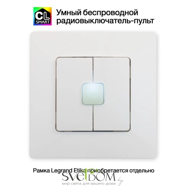Citilux Смарт-Пульт CLR4W Радиовыключатель двухклавишный Белый CITILUX