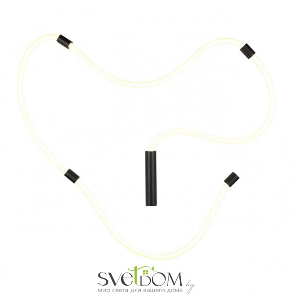 Настенно-потолочные светильники Aployt APL.773.02.78 от Магазина Svetdom.by