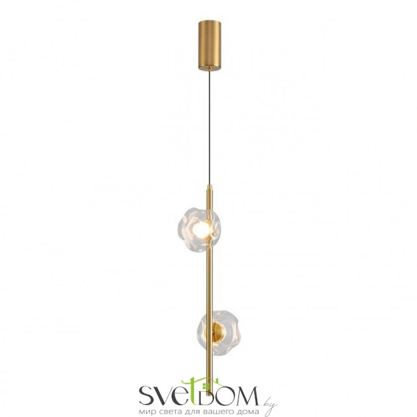 Светильник подвесной Aployt  APL.074.06.02