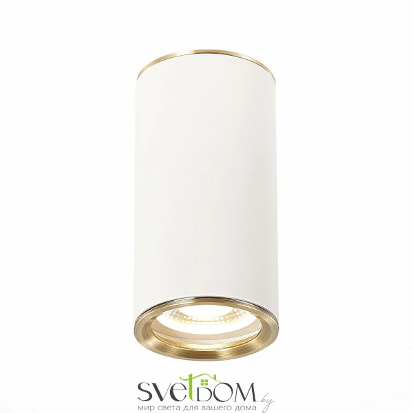 ST111.537.01 Светильник потолочный Белый GU10 1*50W D54xH105 220V Без ламп Накладные светильники