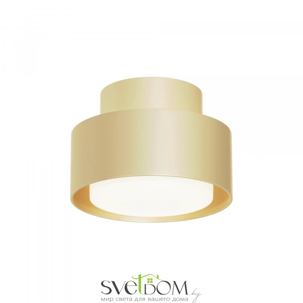 Потолочный светильник Technical C092CL-GX53-MG