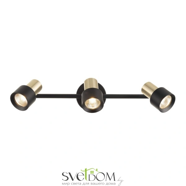 Citilux SAT CL505631 Спот поворотный с выключателем Чёрный+Золото