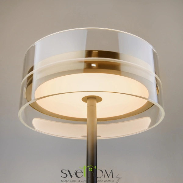 Настольный светильник Maytoni MOD348TL-L14BBS3K