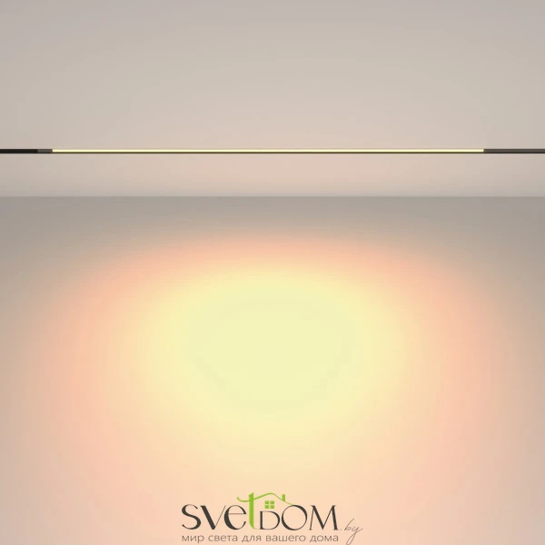 Трековый светильник Technical TR231-2-15W3K-B