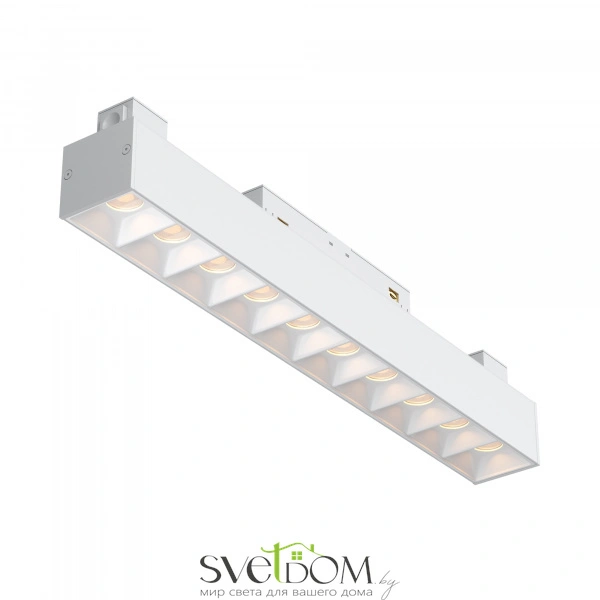 Трековый светильник TR076-2-20W3K-W