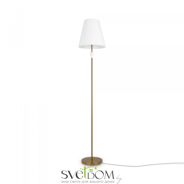 Напольный светильник (торшер) Freya FR5371FL-01BS