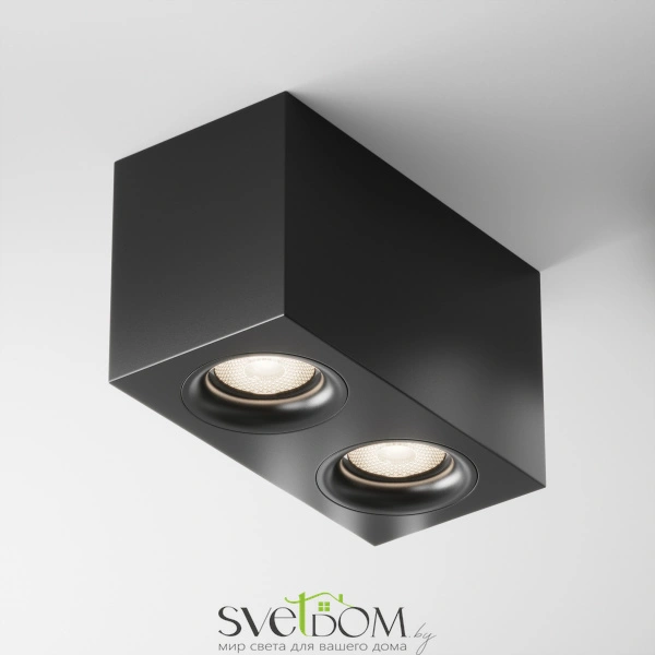 Потолочный светильник Technical C013CL-02B