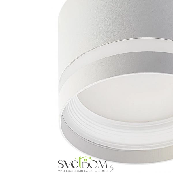 Citilux Hardy CL002C10 Светильник накладной Белый