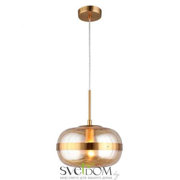 Подвесные светильники Aployt APL.305.16.01 от Магазина Svetdom.by