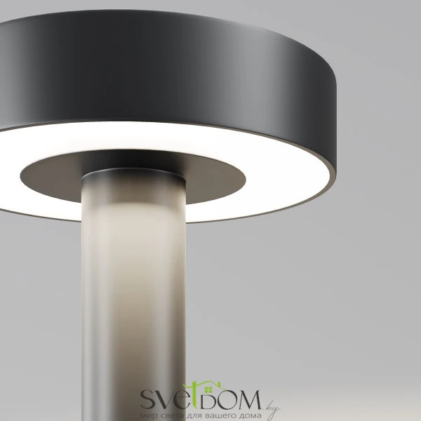 Садово-парковый светильник Nail 3000K 30Вт IP 65