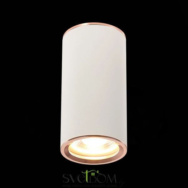 ST111.527.01 Светильник потолочный Белый GU10 1*50W D54xH105 220V Без ламп Накладные светильники