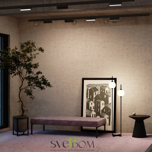 Трековый светильник Technical TR036-2-12W3K-B