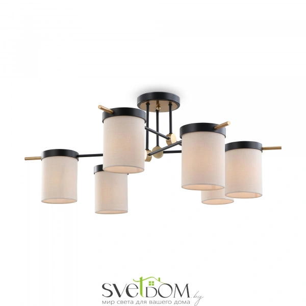 Потолочный светильник Freya FR5377CL-06B