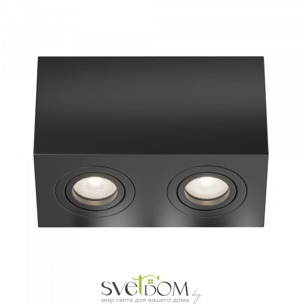 Потолочный светильник Technical C017CL-02B