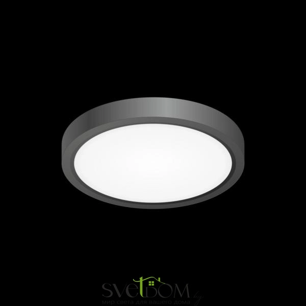 Citilux Бейсик CL738121N Светильник накладной Чёрный