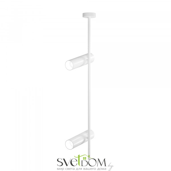 Потолочный светильник Technical C021CL-02W