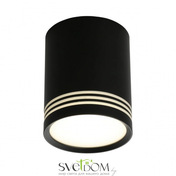 Накладные светильники Omnilux OML-100119-12 от Магазина Svetdom.by