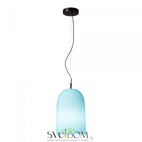 SL2001.403.01 Светильник подвесной ST-Luce Черный/Синий E27 1*60W MILO