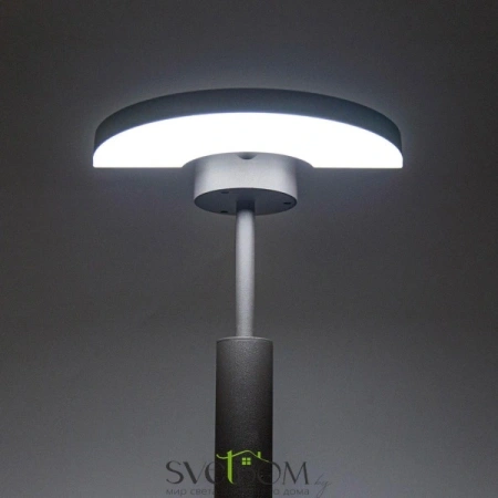 Citilux CLU03B1 LED Уличный парковый светильник поворотный Графит CITILUX