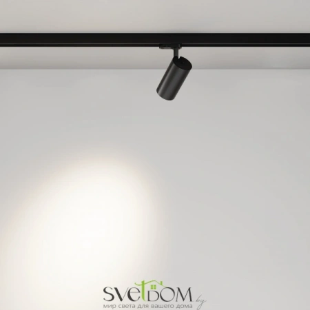 TR197-3-20WCCT-M-B Maytoni