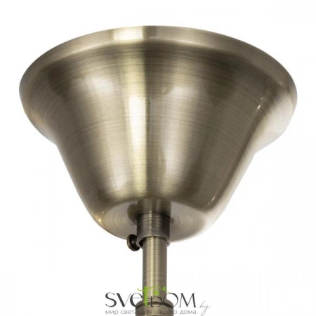 Фото CL437223 CITILUX Люстры подвесныеCL437223 CITILUX | Svetdom.by