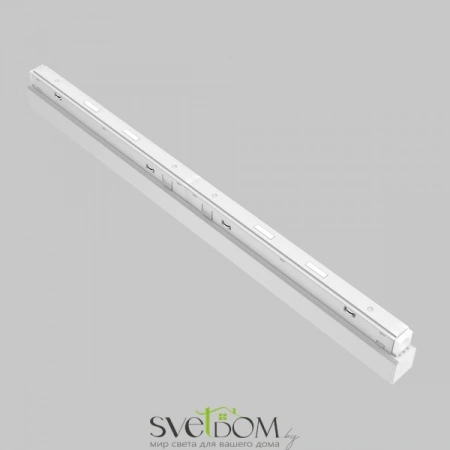 TR031-4-24WTW-DD-W Maytoni