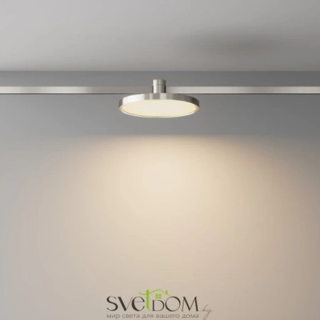 TR153-1-10W3K-PT Maytoni