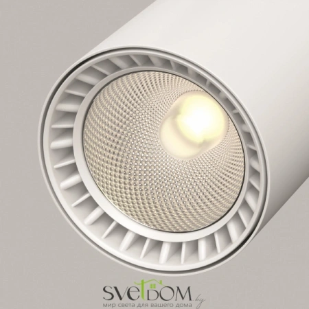 TR029-3-10W3K-S-W Maytoni