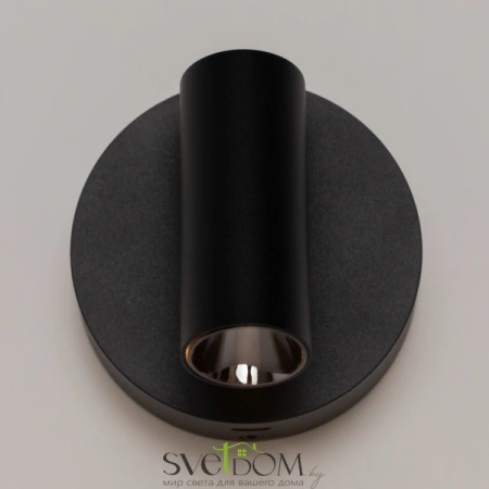 Настенные светильники C079WL-L3B3K Maytoni | Svetdom.by