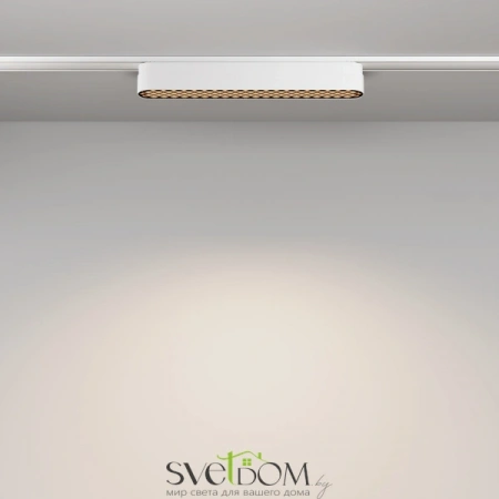 TR084-1-12W4K-W Maytoni