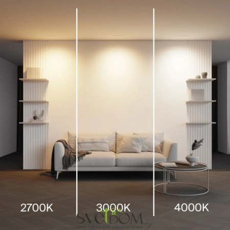 Встраиваемые светильники Maytoni DL100-12W2.7-3-4K-W от Магазина Svetdom.by
