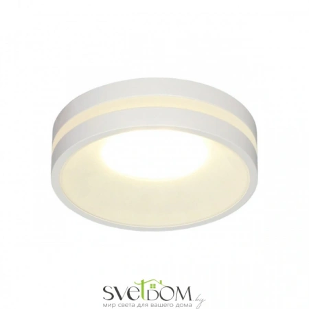 Накладные светильники Omnilux OML-102709-01 от Магазина Svetdom.by