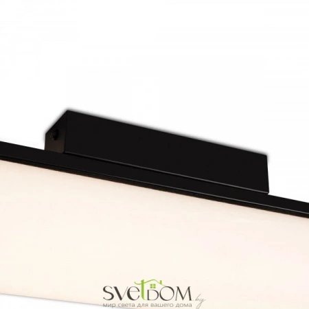 Потолочные светильники Freya FR5625CL-L20B от Магазина Svetdom.by