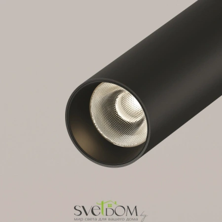 Потолочные светильники Maytoni C141CL-L300-6W3K-B от Магазина Svetdom.by