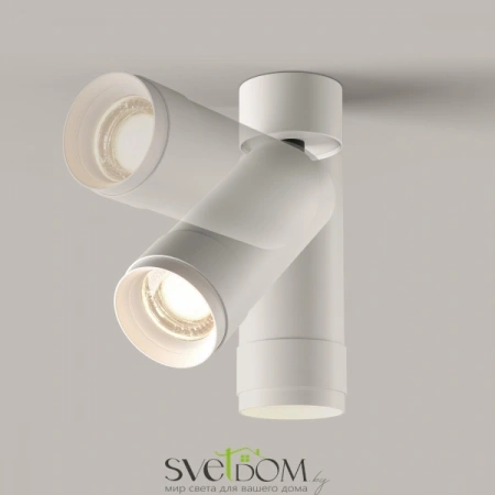 Потолочные светильники Maytoni C055CL-L12W4K-Z-W от Магазина Svetdom.by