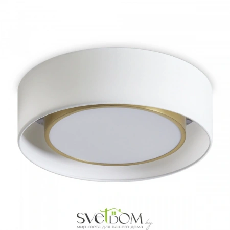 Потолочные светильники Freya FR6170CL-L52BS от Магазина Svetdom.by