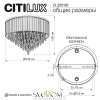 Люстры потолочныеCL320182 CITILUX | Svetdom.by