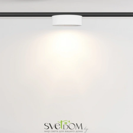 TR189-1-12W3K-BW Maytoni