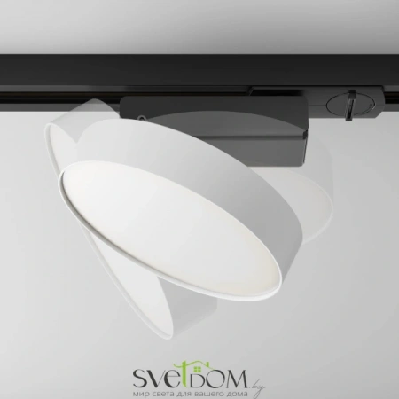 TR043-1-12W4K-W Maytoni