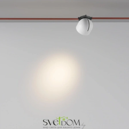 TR124B-12W3K-M-W Maytoni