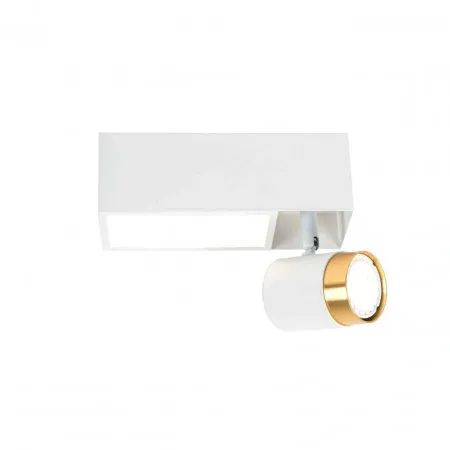 Настенно-потолочные светильники LED4U L2233-220 WH от Магазина Svetdom.by