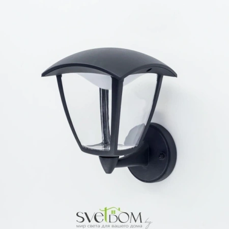 Citilux CLU04W1 LED Уличный настенный светильник Чёрный CITILUX