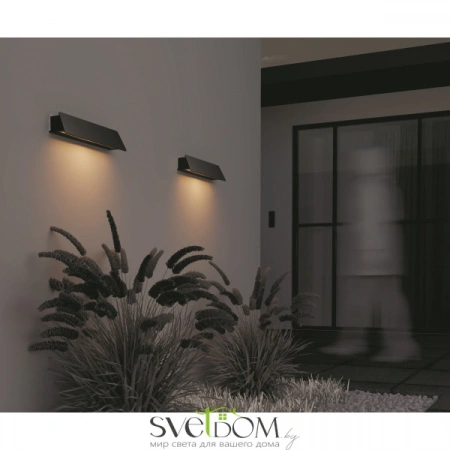 Настенные светильники O429WL-L10GF3K Maytoni | Svetdom.by