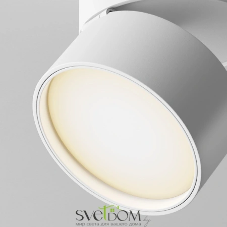 Потолочные светильники Maytoni C024CL-L12W3K от Магазина Svetdom.by