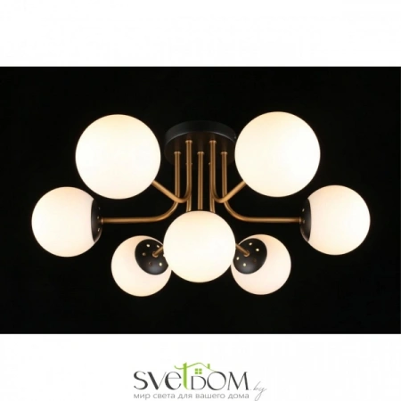 Люстры потолочныеAPL.906.17.07 Aployt | Svetdom.by