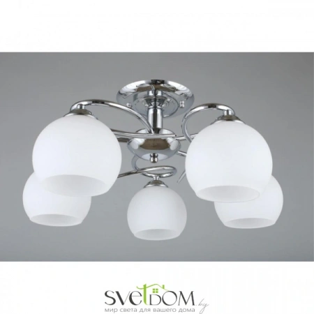 Люстры потолочныеOML-25107-05 Omnilux | Svetdom.by