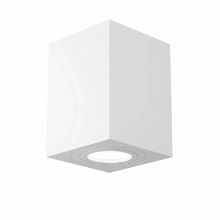 Потолочные светильники Maytoni C017CL-01W от Магазина Svetdom.by
