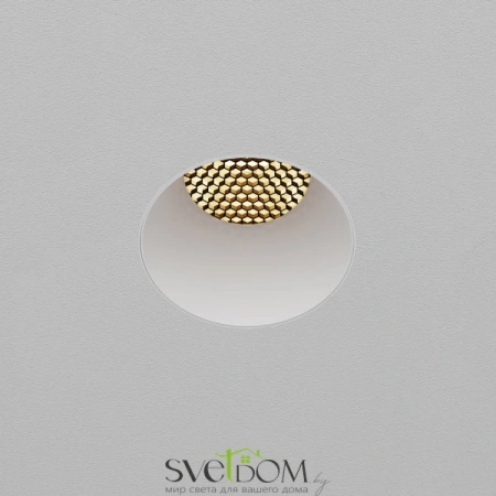 Встраиваемые светильники Maytoni DL122-15W-2.7K-TRS-W от Магазина Svetdom.by